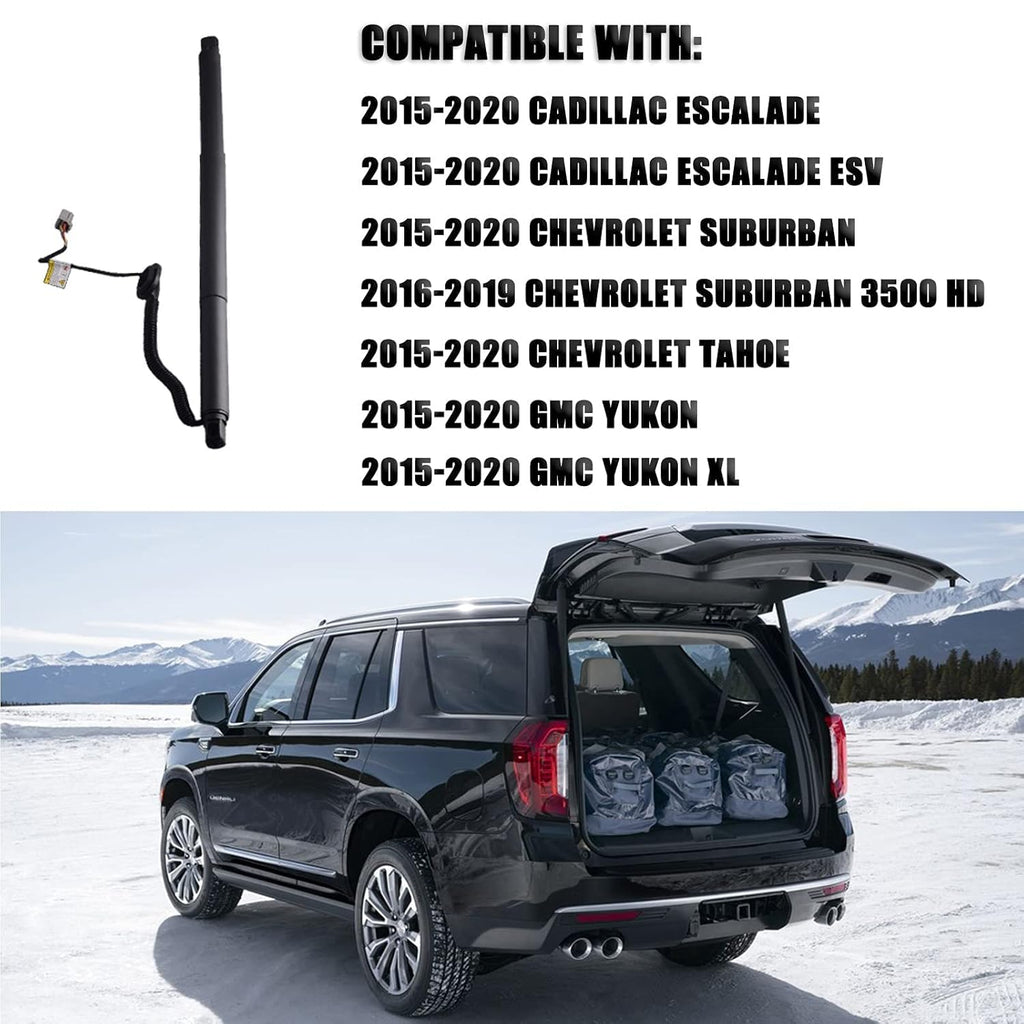 Power Liftgate Strut Rear Left R622