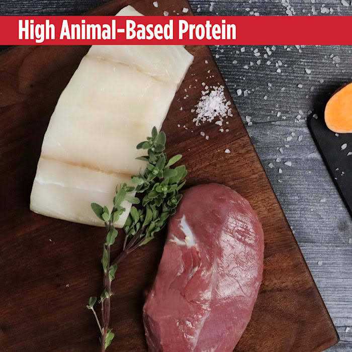 Grain Free Turkey Dry Cat Food K899683