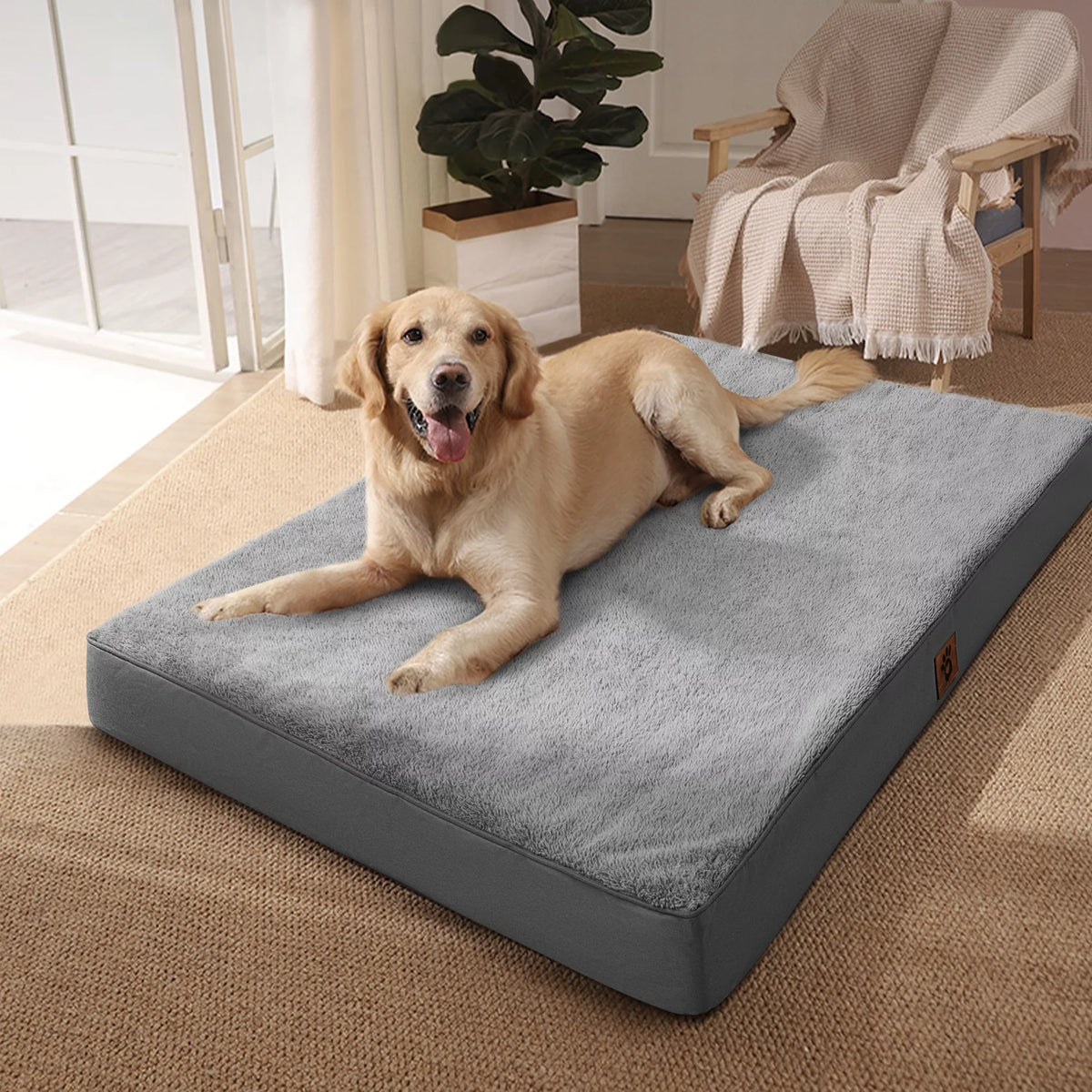 Orthopedic Dog Bed Plush Mattress with Removable Waterproof Cover B288242
