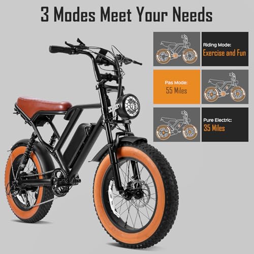 1000W 20" Fat Tire 48V 17.5AH Removable Battery Electric Bike D3134
