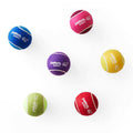 Tennis Ball Dog Toy Q89569