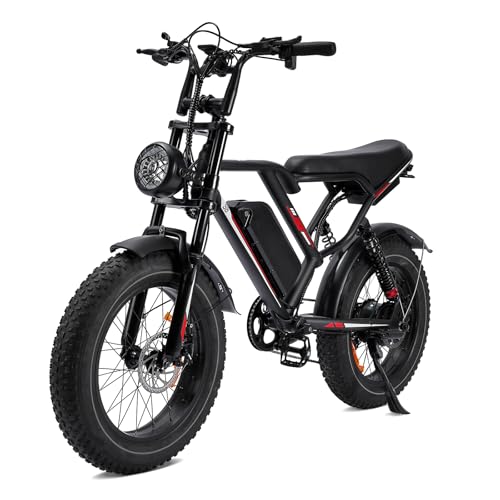 1000W 20" Fat Tire 48V 17.5AH Removable Battery Electric Bike D3134