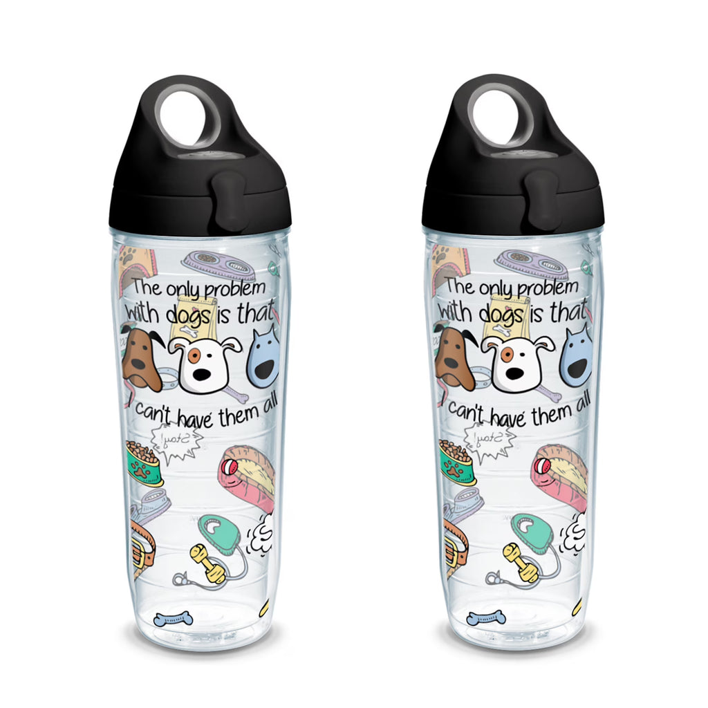 24 oz Water Bottle with Lid, 2 Pack D17287