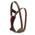 Leather Collar P858