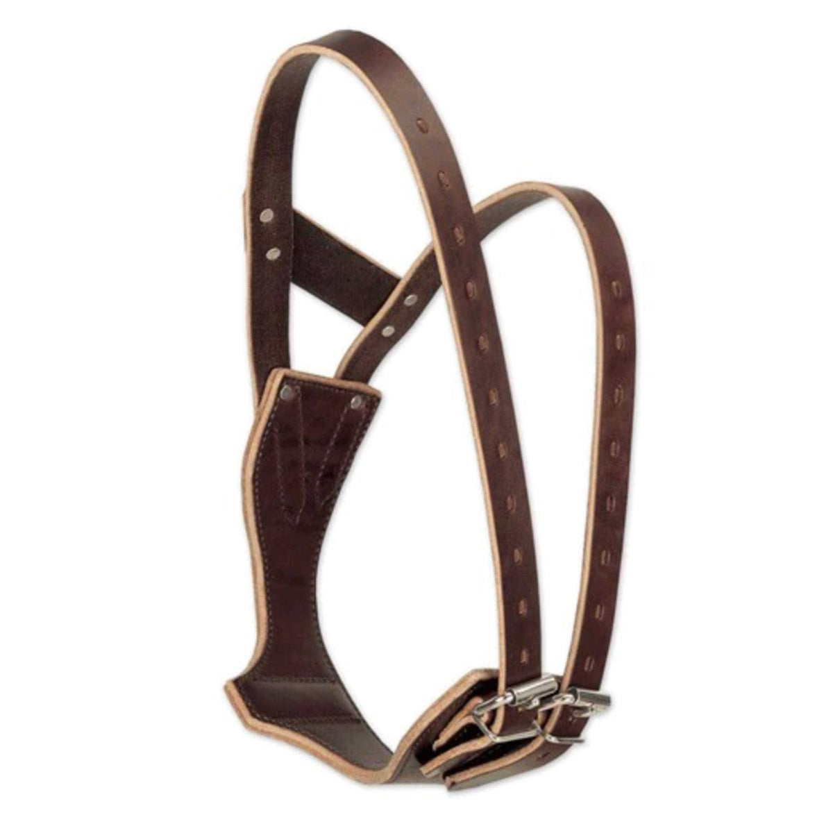 Leather Collar P858