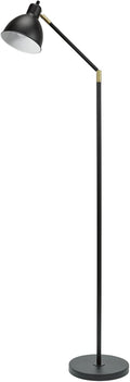Modern Adjustable Metal Floor Lamp with Brass Accents, Classic Black P94008