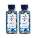 10 Oz 2 Pack Gingham Shower Gel G575360