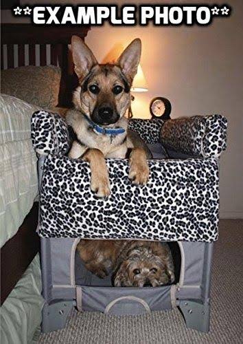Grey Pet Bunk Bed J703