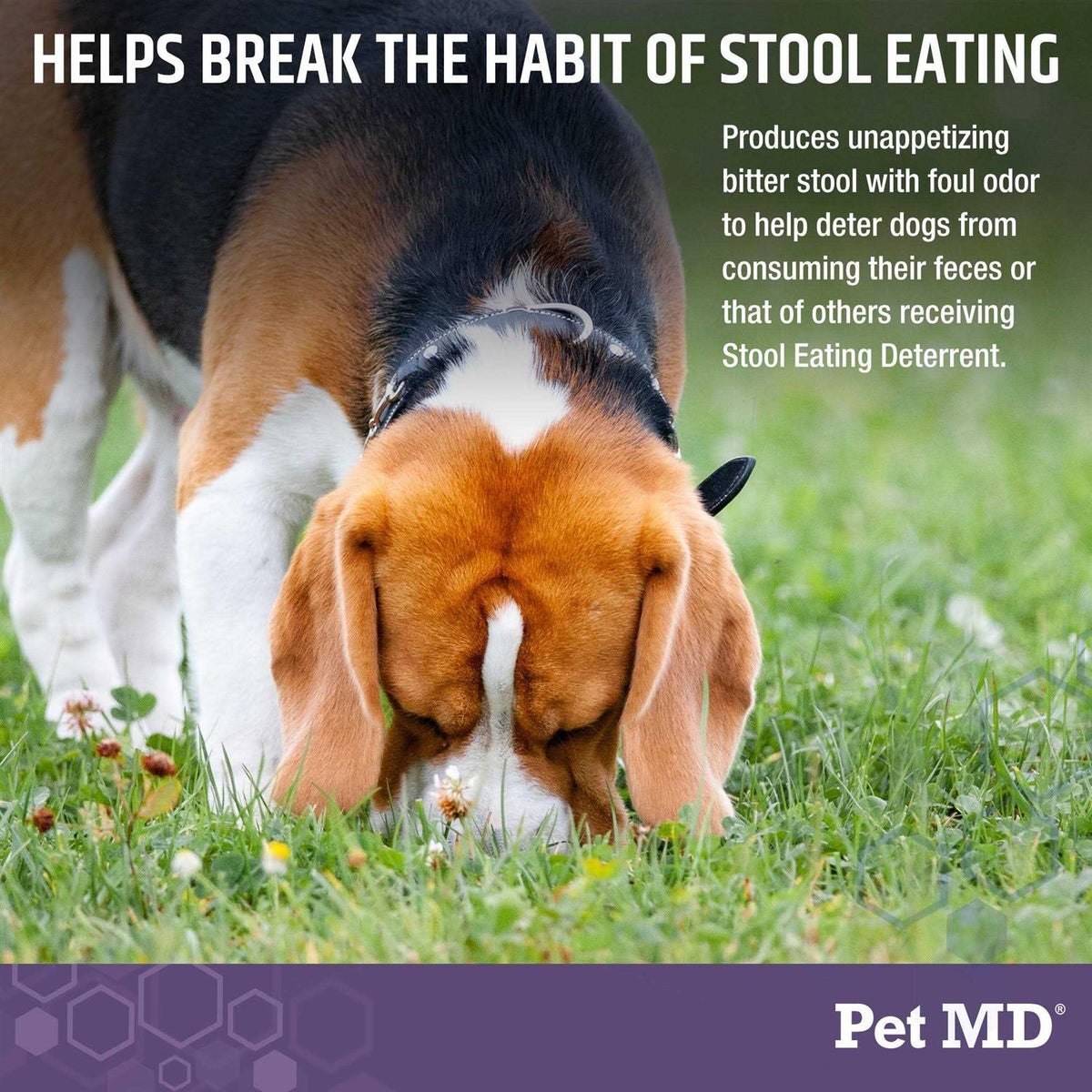 Stool Eating Deterrent for Dogs R91557