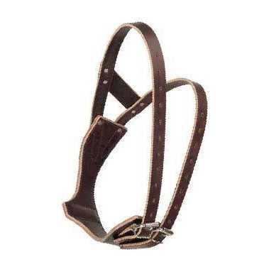 Leather Collar P858