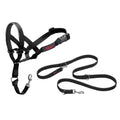 Black Head Collar and Double Lead E5330