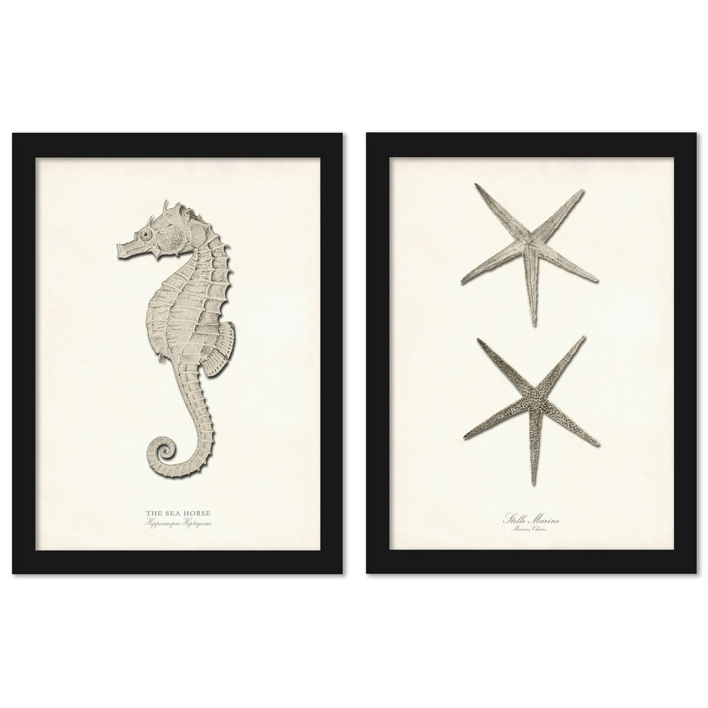Greige Sea Horse 2 Piece Black Framed Print Set T255896