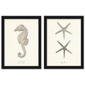 Greige Sea Horse 2 Piece Black Framed Print Set T255896