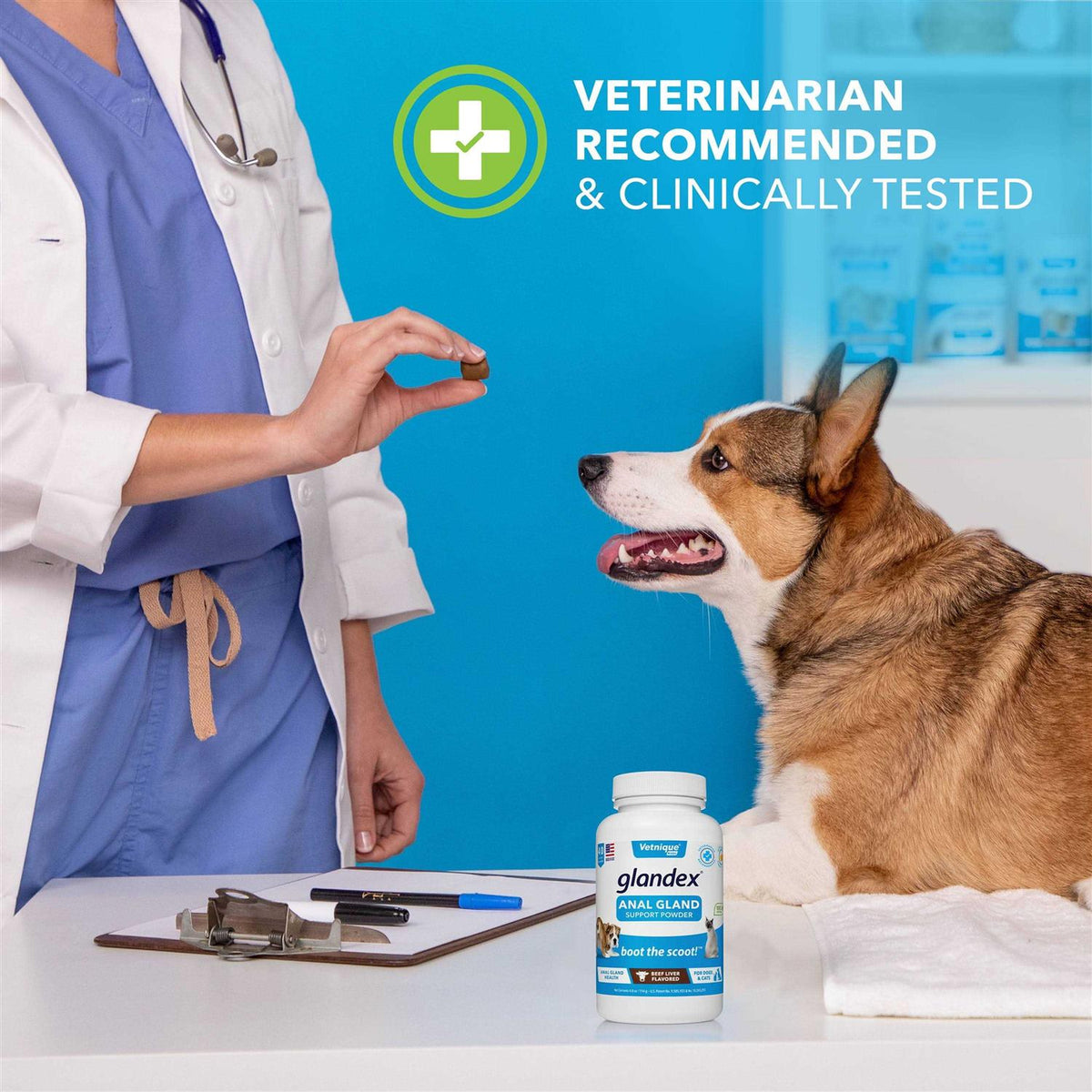 Anal Gland Support Powder for Dogs & Cats T965685
