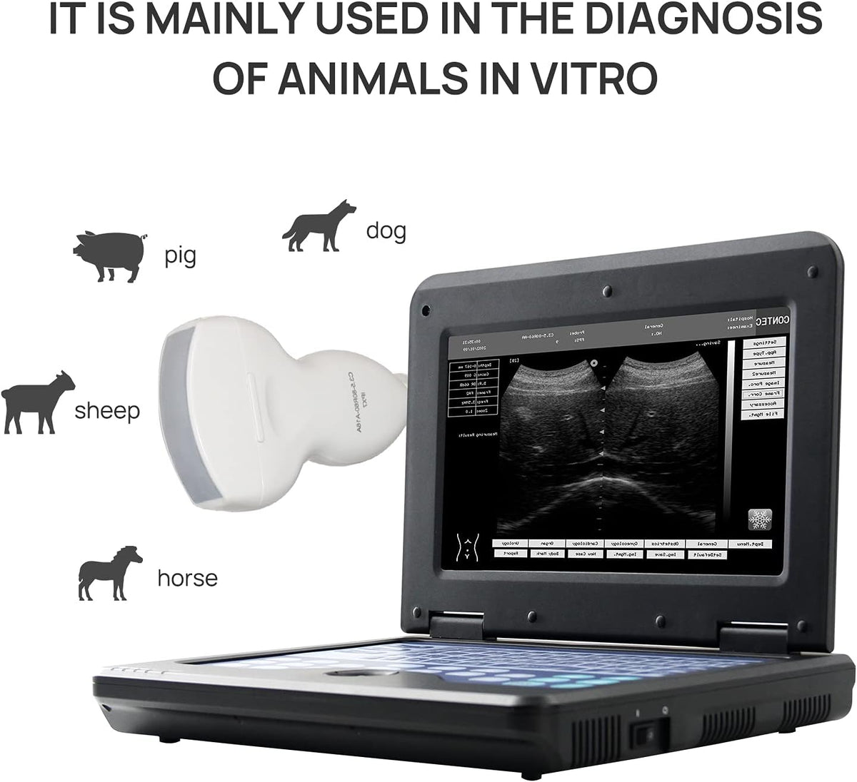 Veterinary Ultrasound Scanner with Convex and Rectal Linear Probe A22577