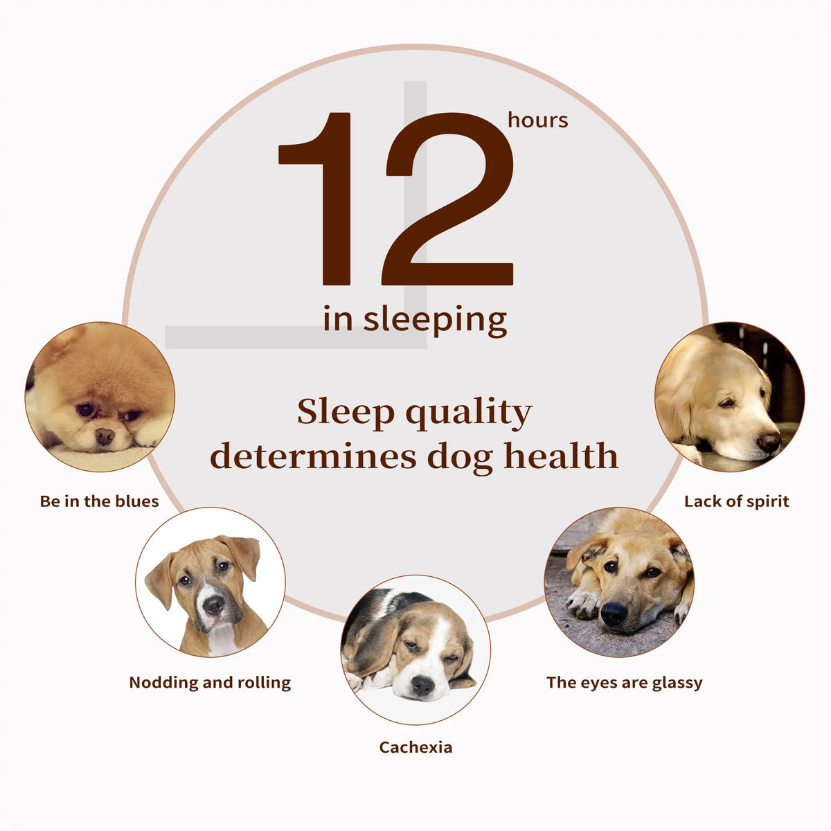 Orthopedic Dog Bed Plush Mattress with Removable Waterproof Cover B288242