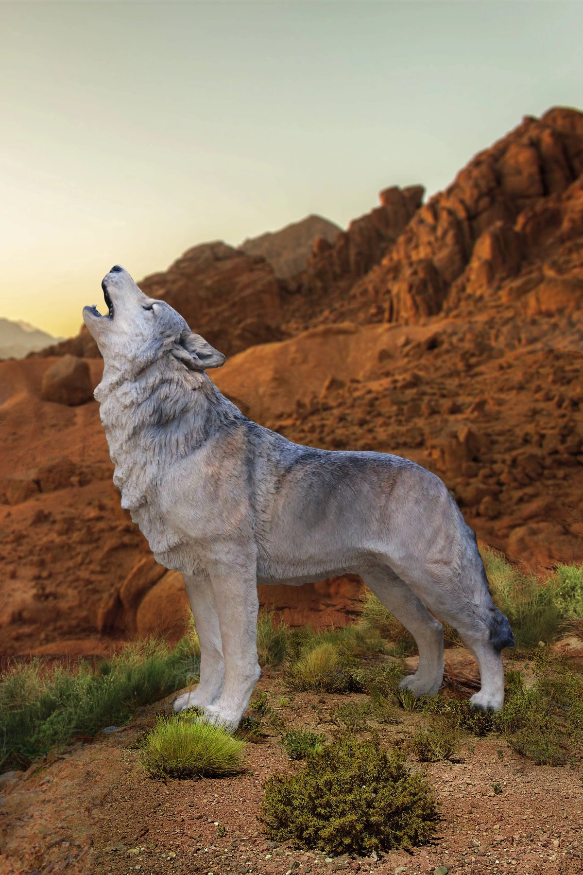 Grey Wolf Statue T62181
