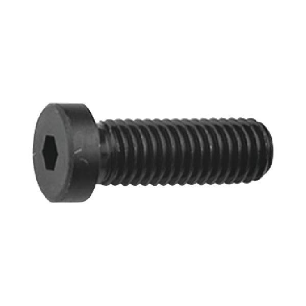 M10 x 50mm Low Head Cap V7213