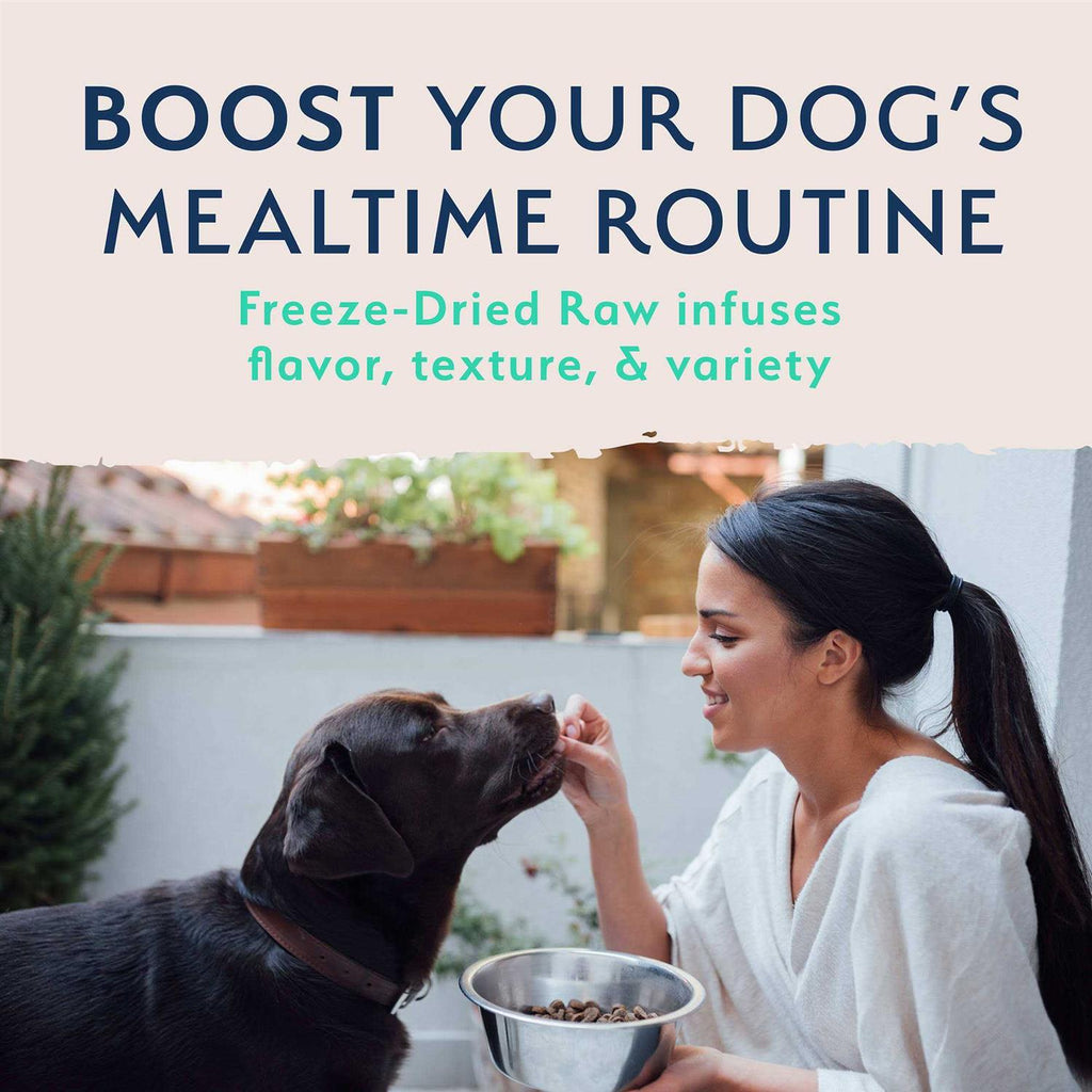 Freeze Dried Chicken & Sweet Potato Dog Food R33364