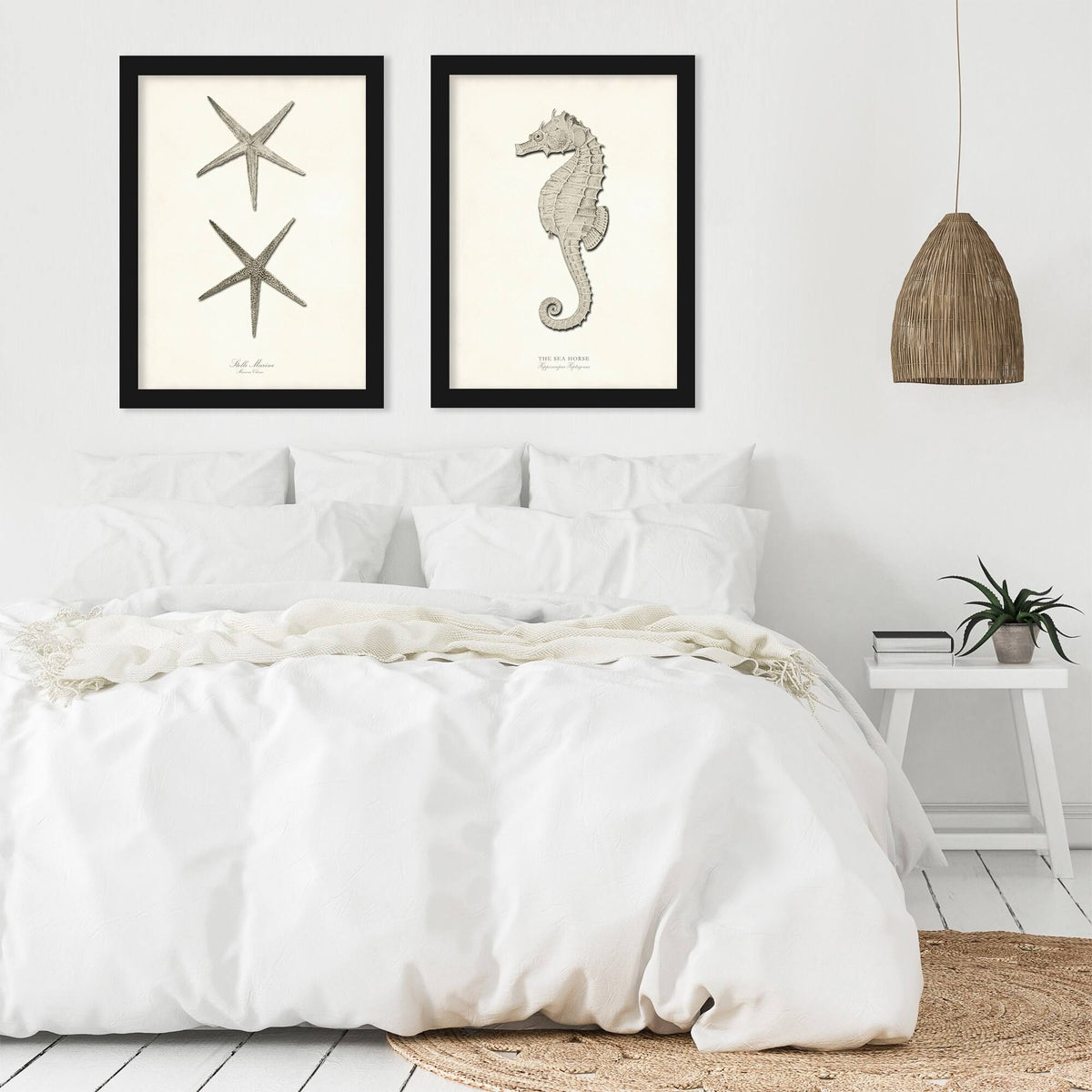 Greige Sea Horse 2 Piece Black Framed Print Set T255896