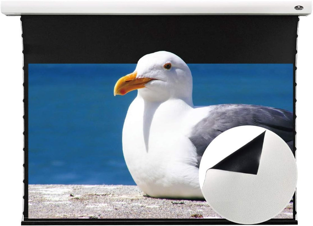 Slimline Motorized Tension Pull Down Screen Projector Perforated Transparent Acoustically White Cinema K150