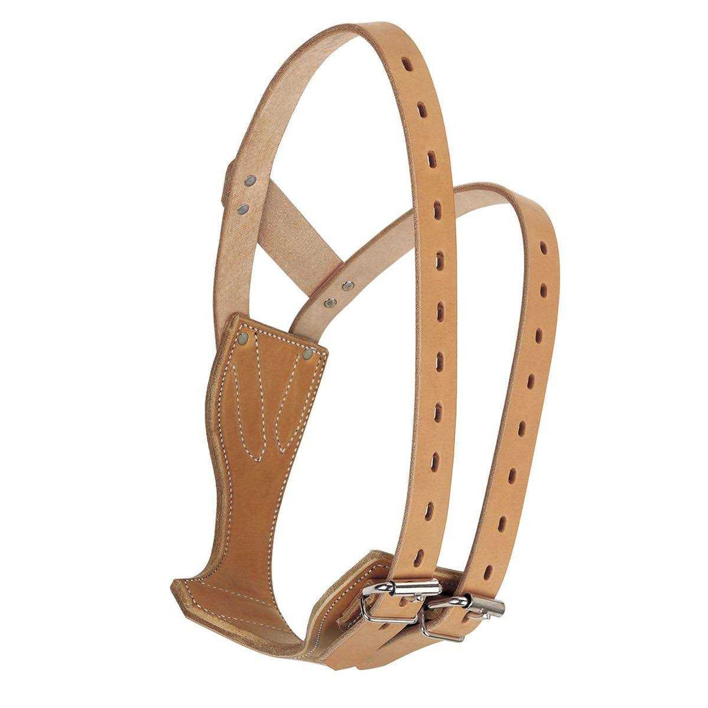 Leather Collar P858