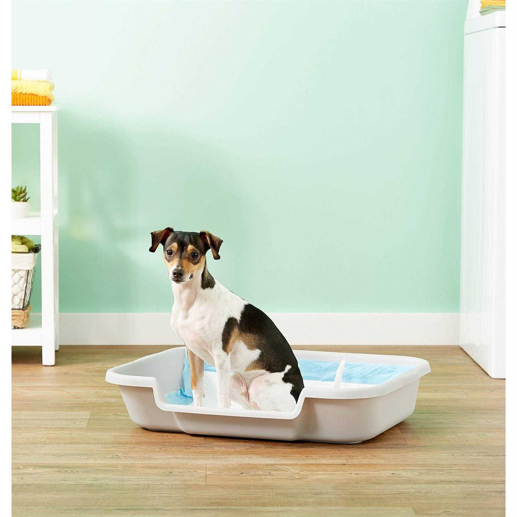 Dog Litter Box S703