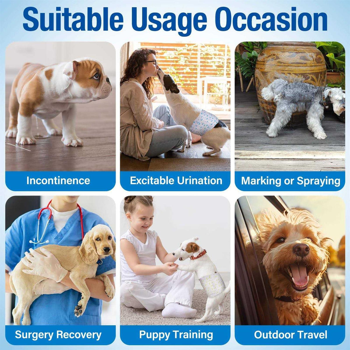 Soft Disposable Male Dog Wraps B2963