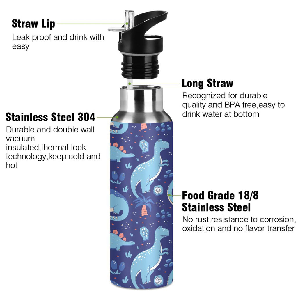 Stainless Steel Insulated Water Bottle with Straw Lid D3107