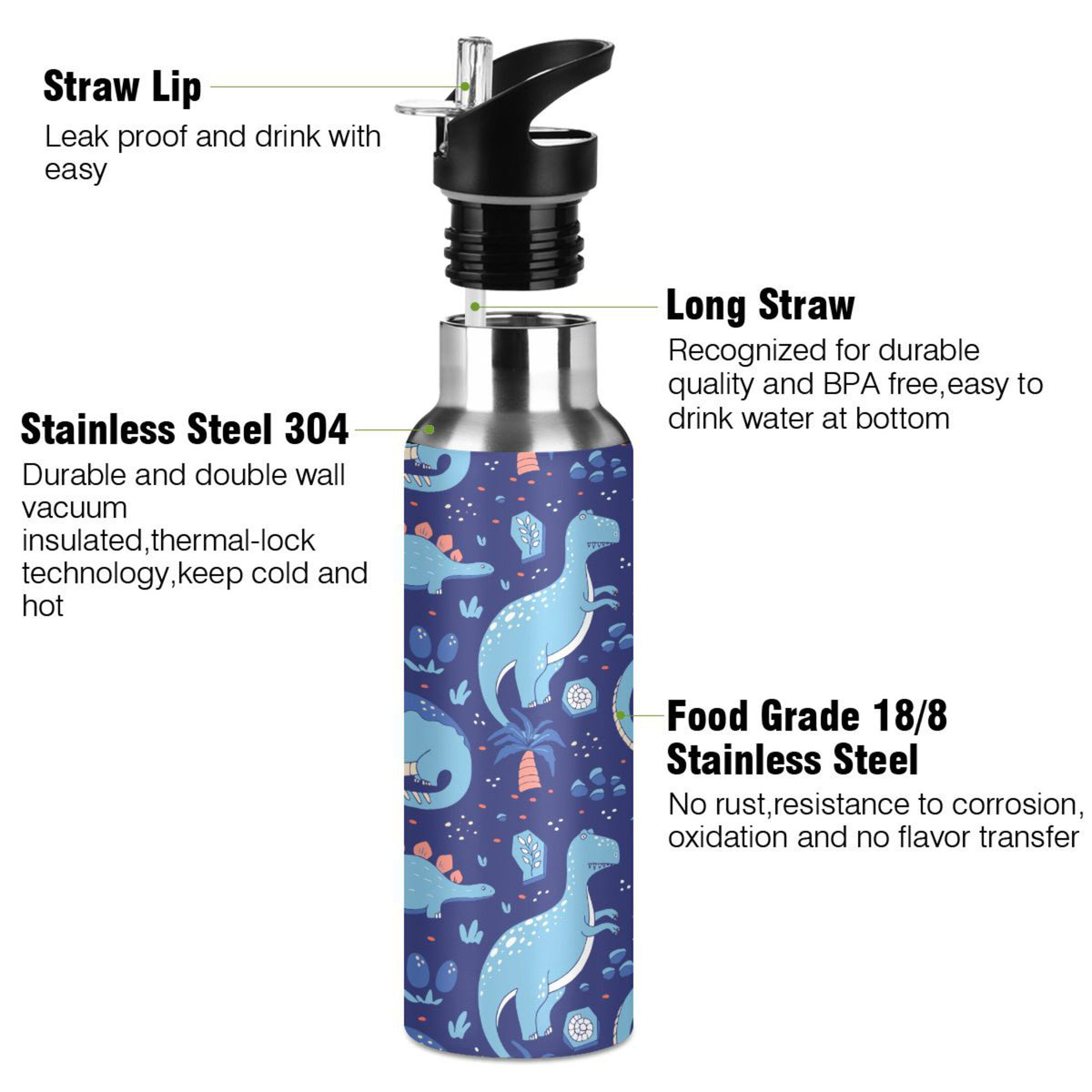 Stainless Steel Insulated Water Bottle with Straw Lid D3107
