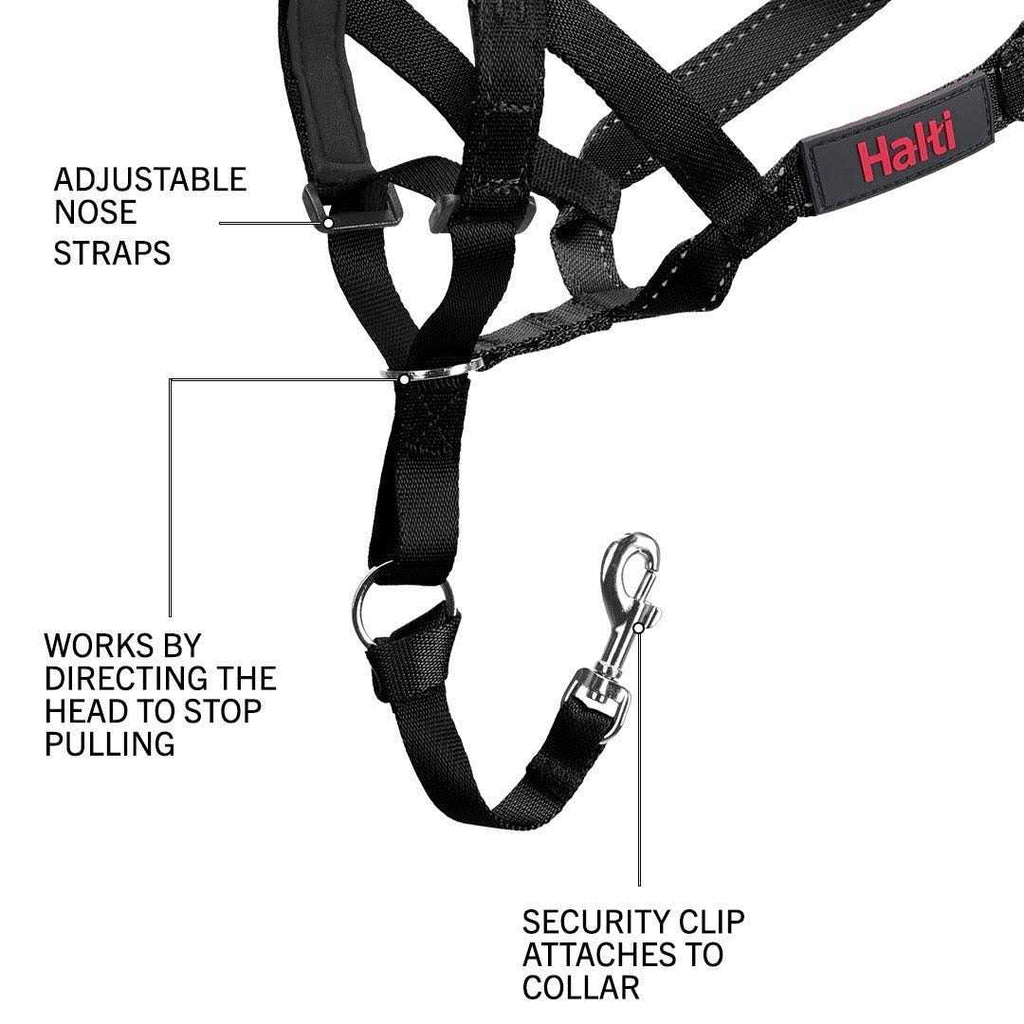 Black Head Collar and Double Lead E5330