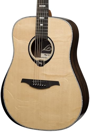 50 Dreadnought Bevel Gloss Acoustic Guitar B7363