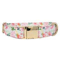 Pink Pet Collar V429693