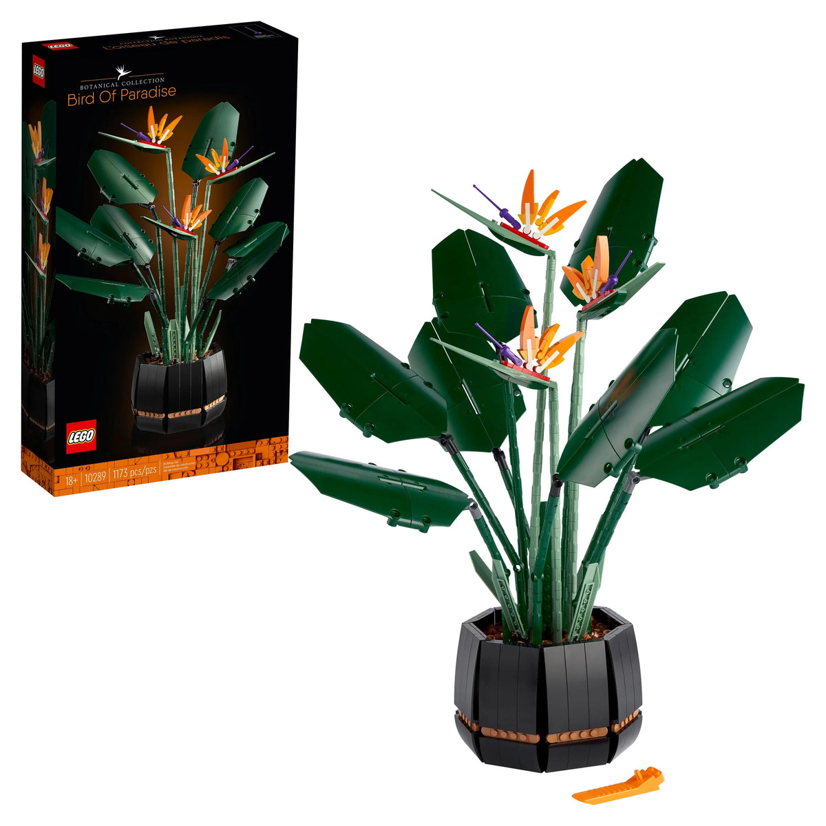 Bird of Paradise Flowers & Plants Model Y903556