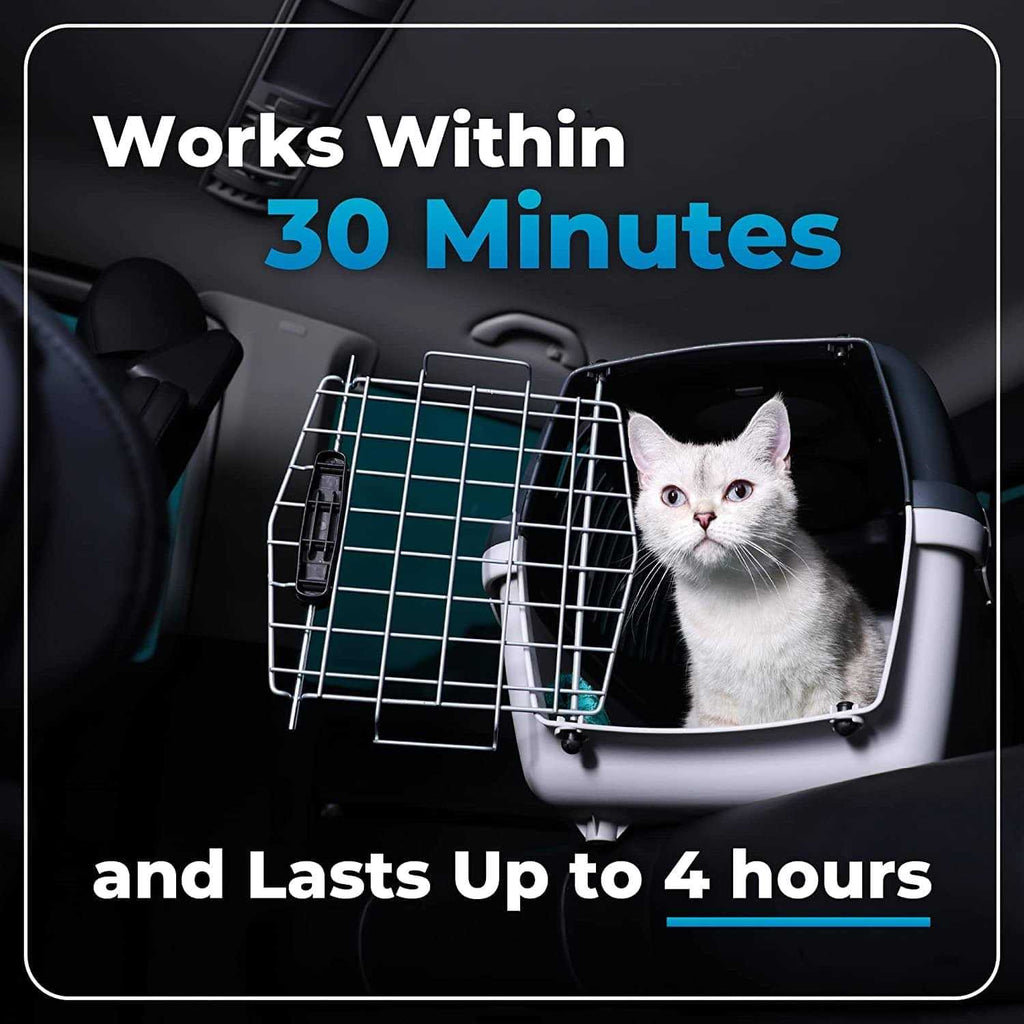 Cat Supplement H4517