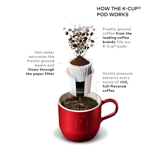 Brushed Slate Single Serve K-Cup Pod Coffee Maker N278985