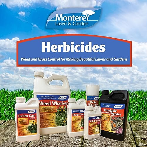 One Pint Spurge Power Herbicide F63531