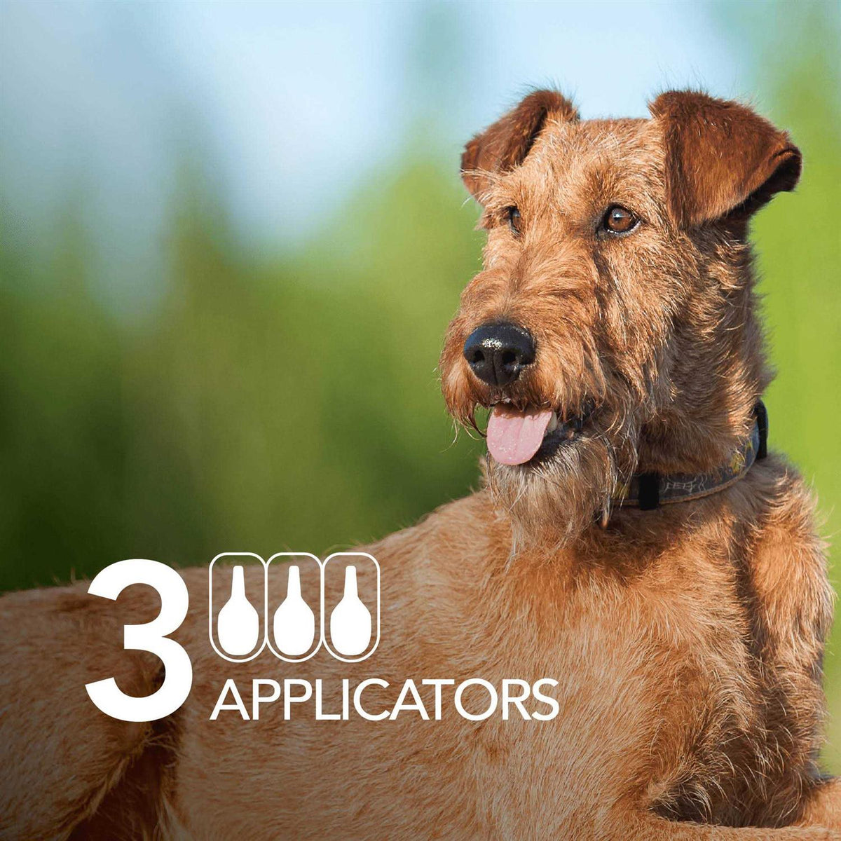 Flea and Tick Prevention Dogs R13026