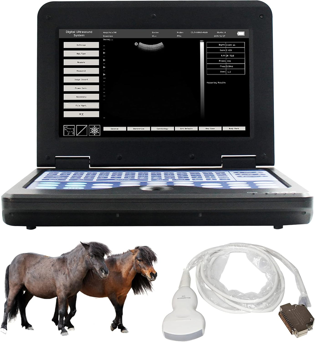 Veterinary Ultrasound Scanner with Convex and Rectal Linear Probe A22577
