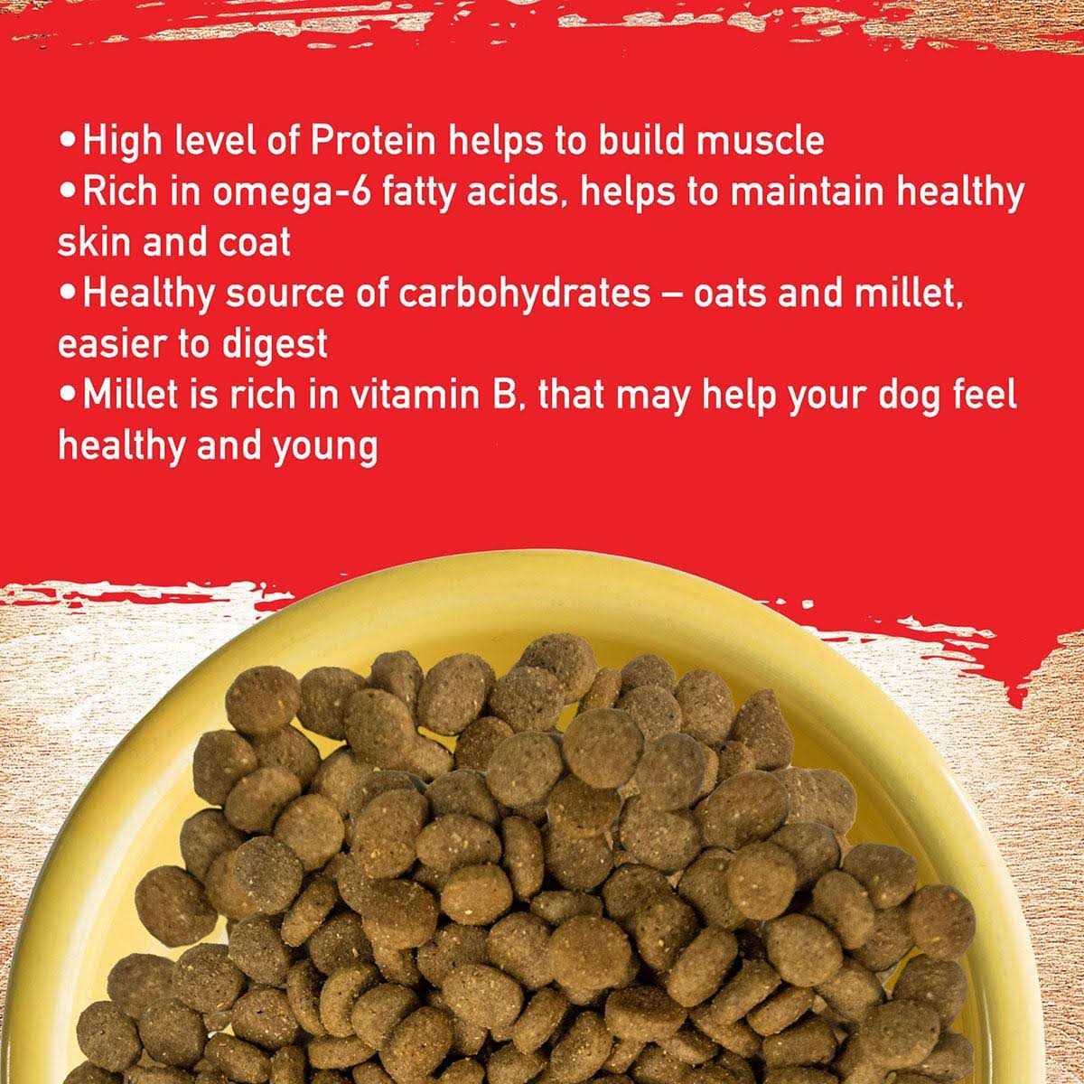 Pork Recipe Dog Food L51021