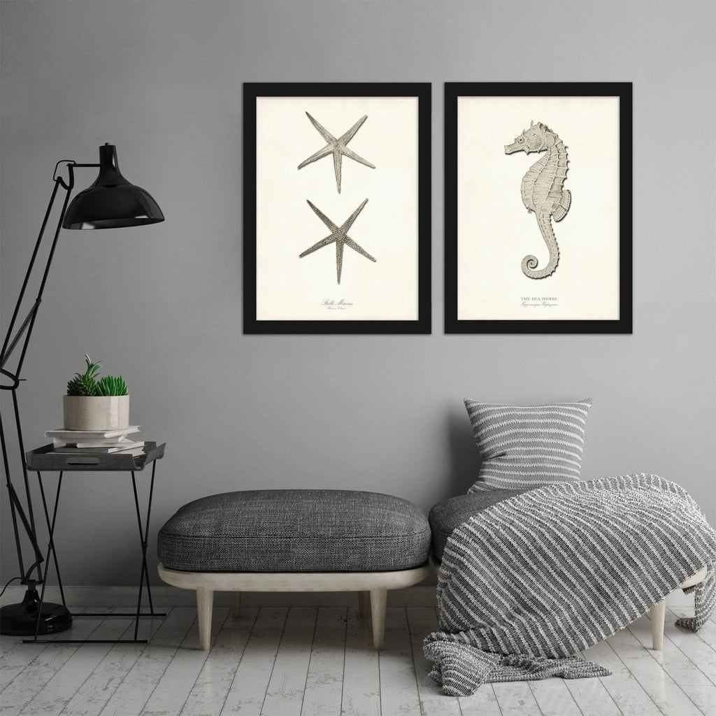 Greige Sea Horse 2 Piece Black Framed Print Set T255896