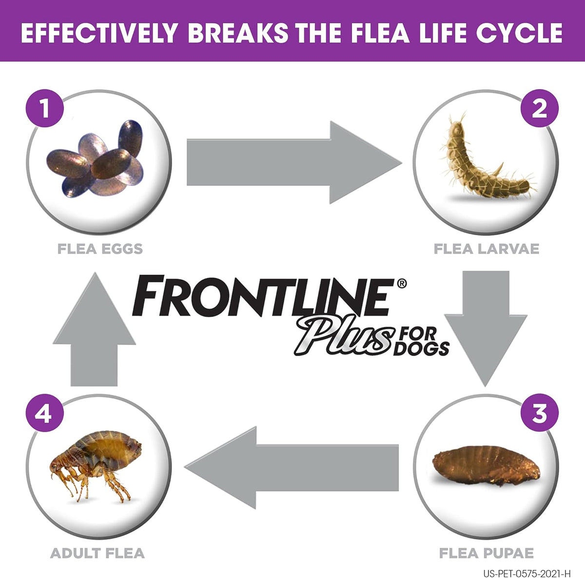 Flea and Tick Treatment for Dogs, 8 Doses K1243