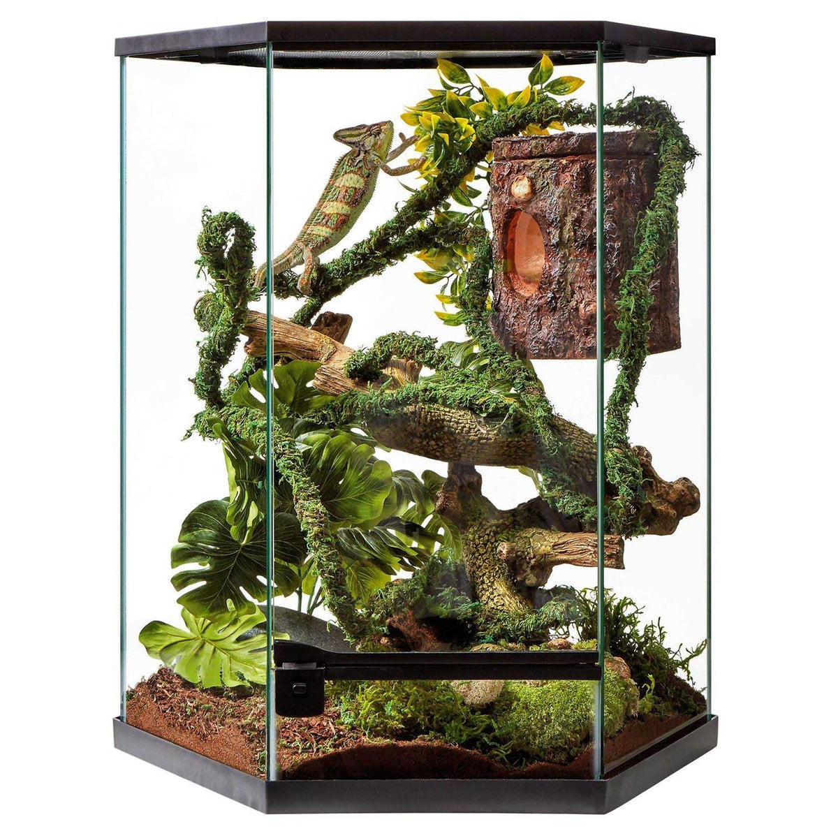 20 Gallon Vertical Hexagon Terrarium L50244