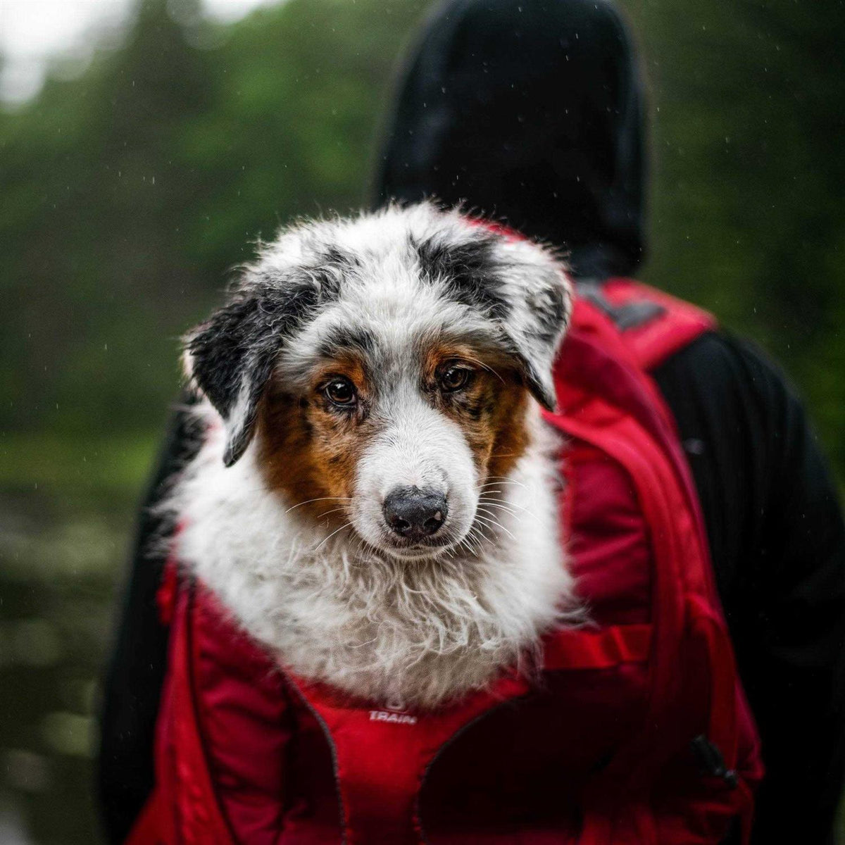 Backpack Dog Carrier K1939
