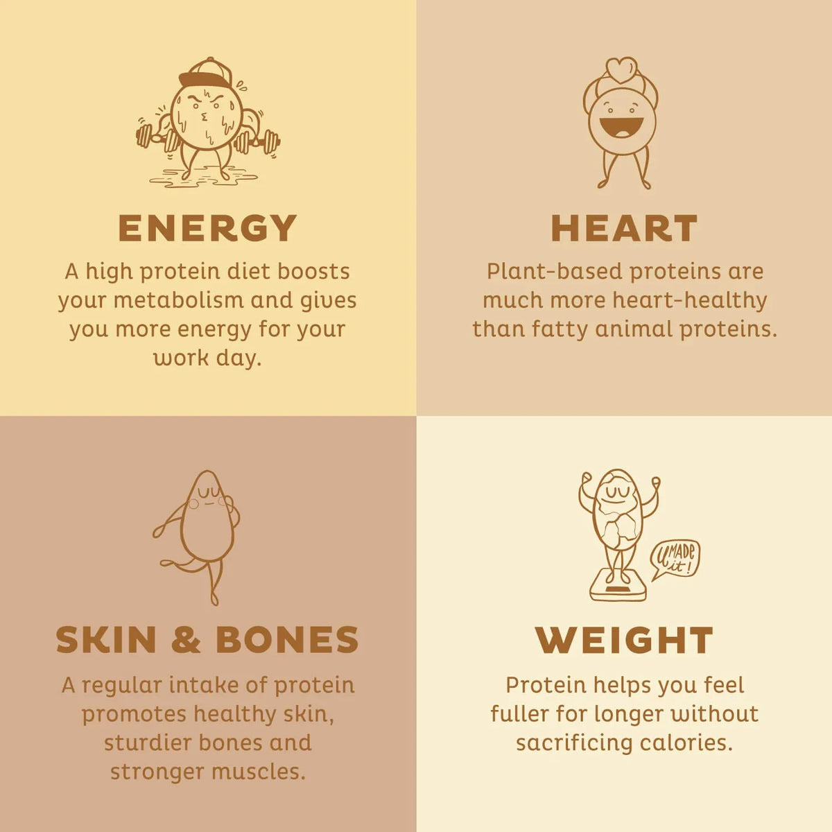 Vanilla Vegan Protein Powder, 30 Servings X785446