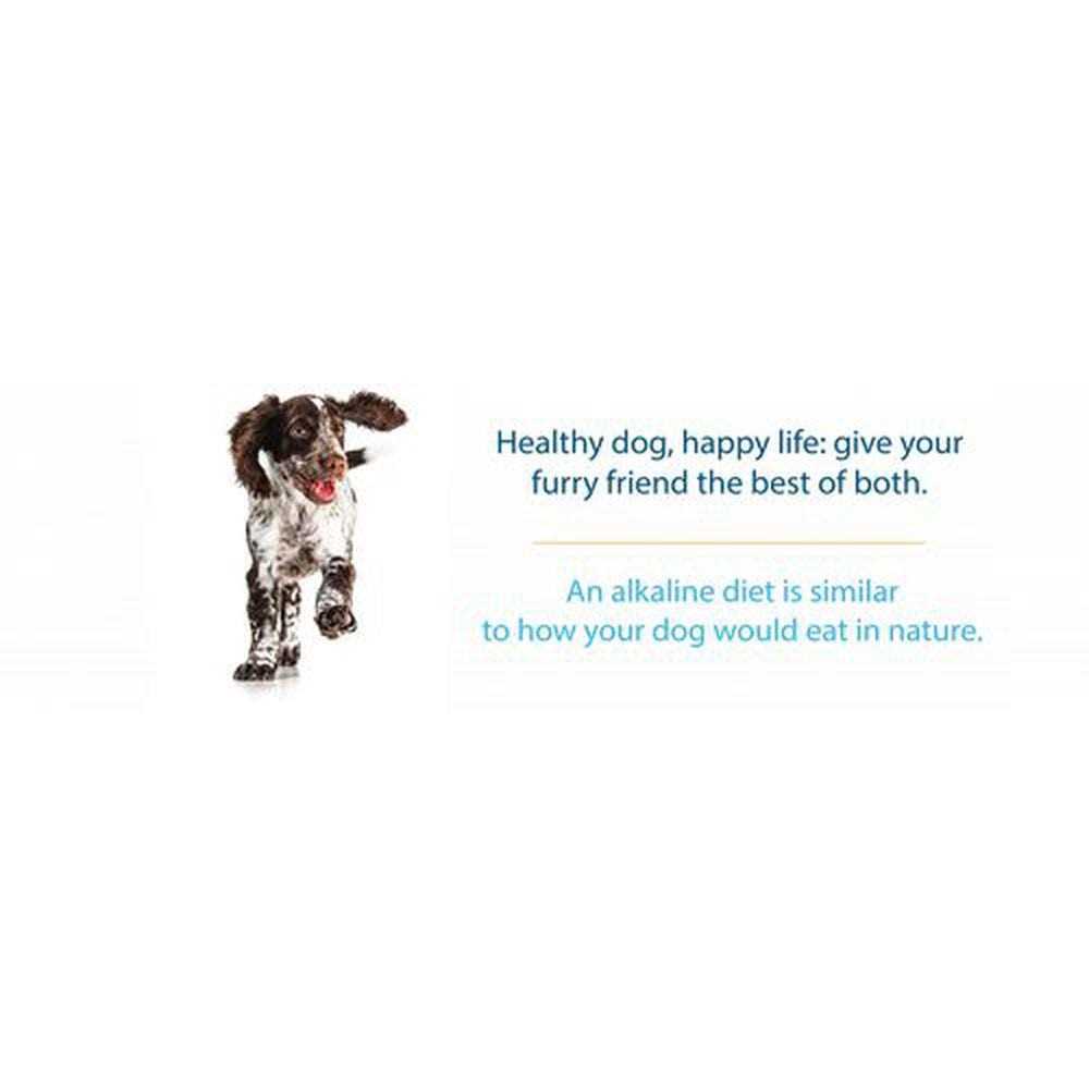 Limited Ingredient Dry Dog Food M896667