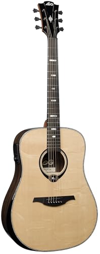 50 Dreadnought Bevel Gloss Acoustic Guitar B7363