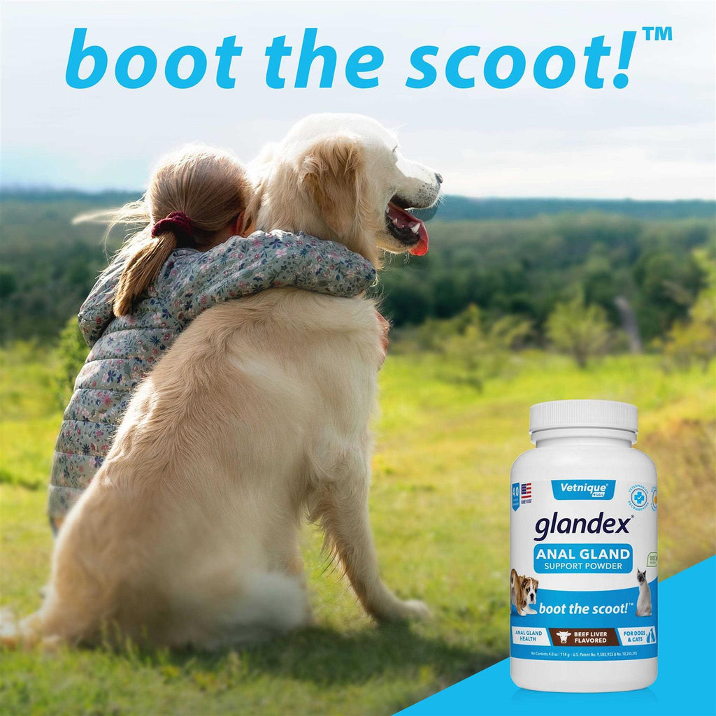 Anal Gland Support Powder for Dogs & Cats T965685