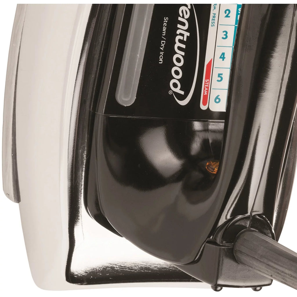 Steam and Spray Iron U87391