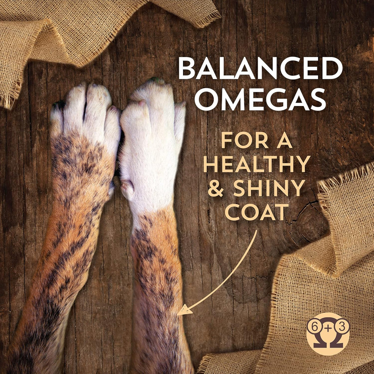 40 Lb. Dry Dog Food E397942
